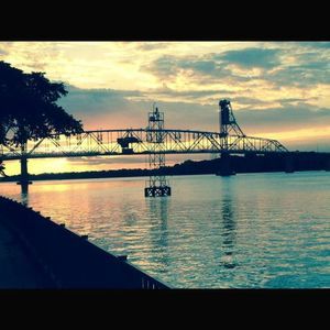 Meet your Posher, Roy